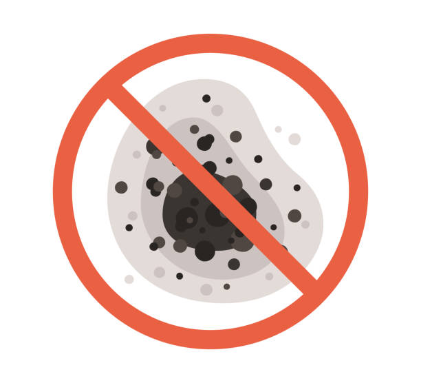 Best Black Mold Removal  in Estell Manor, NJ