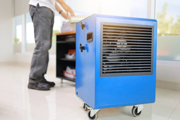 Best Emergency Mold Remediation  in Estell Manor, NJ