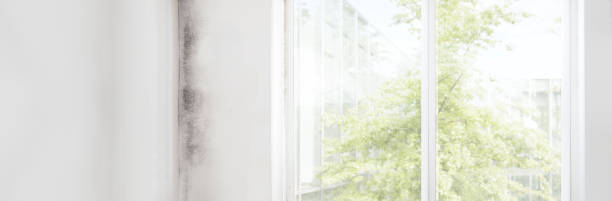 Best Asbestos and Lead Testing During Mold Inspection  in Estell Manor, NJ