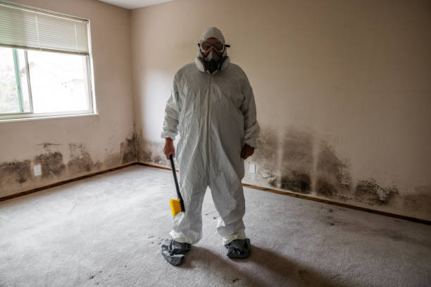 Best Crawl Space Mold Remediation  in Estell Manor, NJ